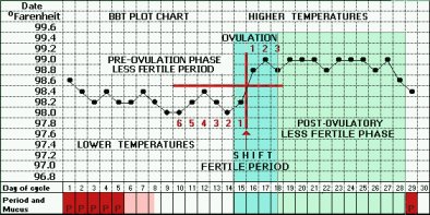 Basal Body Temperature Chart Ovulation