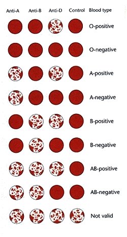 Blood Group Acceptance Chart