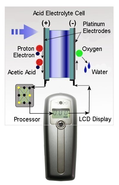 Fuel Cell