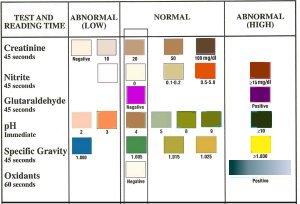 Abnormal Urine Colors Chart | Magnet