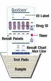 Druginuselabeled2.jpg (9229 bytes)