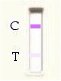 FSH Negative A