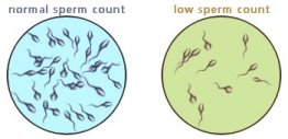 Spermcount