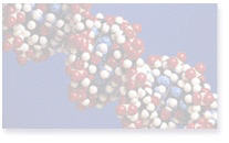 DNA, Cell Strand